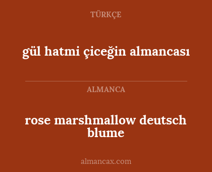 gül hatmi çiceğin almancası - rose marshmallow deutsch blume