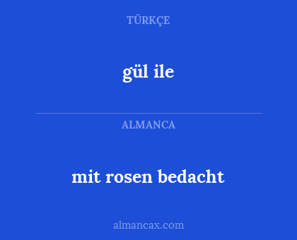 mit rosen bedacht - gül ile