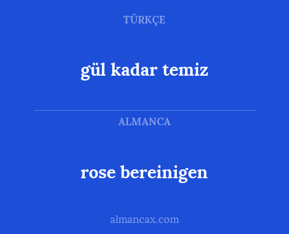 rose bereinigen - gül kadar temiz