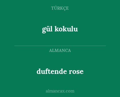 duftende rose - gül kokulu