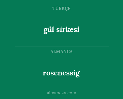gül sirkesi - rosenessig
