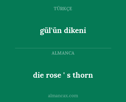 die rose ' s thorn - gül'ün dikeni