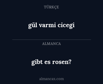 gül varmi cicegi - gibt es rosen?