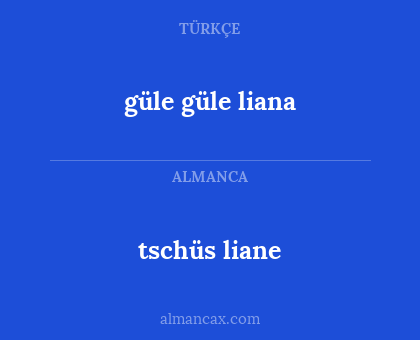 tschüs liane - güle güle liana