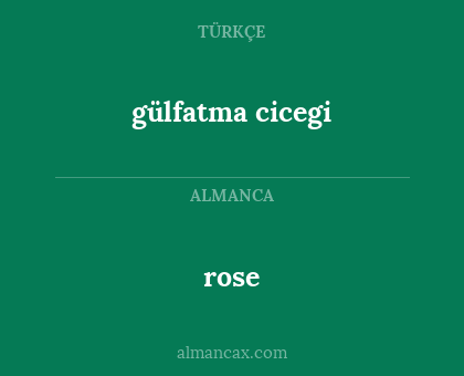 rose - gülfatma cicegi