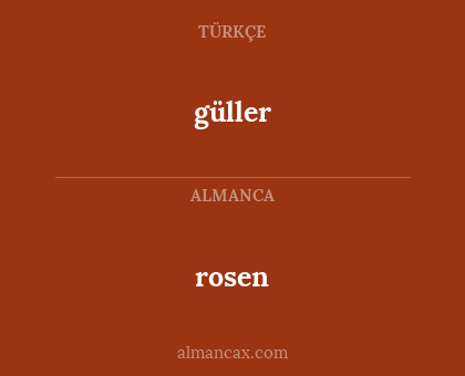 güller - rosen