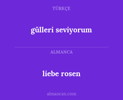 liebe rosen - gülleri seviyorum