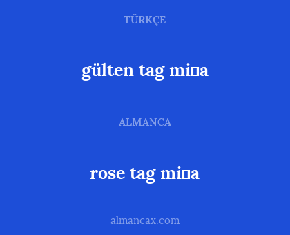 rose tag mi̇a - gülten tag mi̇a