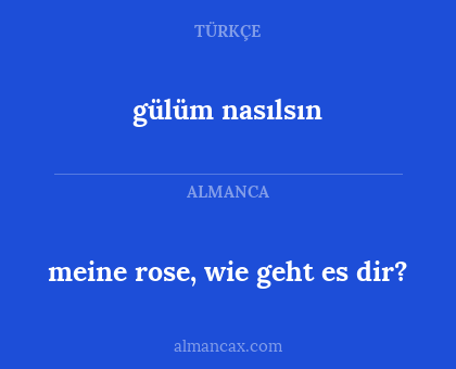 meine rose, wie geht es dir? - gülüm nasılsın