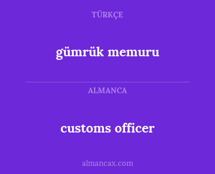gümrük memuru - customs officer