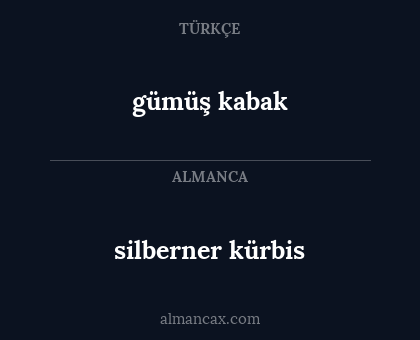 silberner kürbis - gümüş kabak