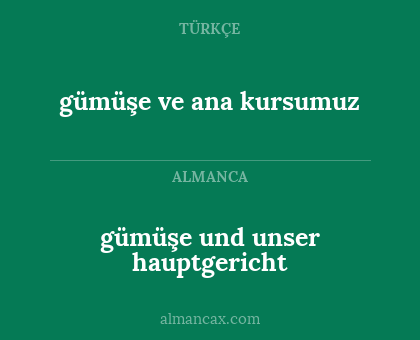 gümüşe ve ana kursumuz - gümüşe und unser hauptgericht