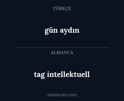 gün aydın - tag intellektuell