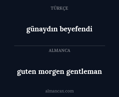günaydın beyefendi - guten morgen gentleman