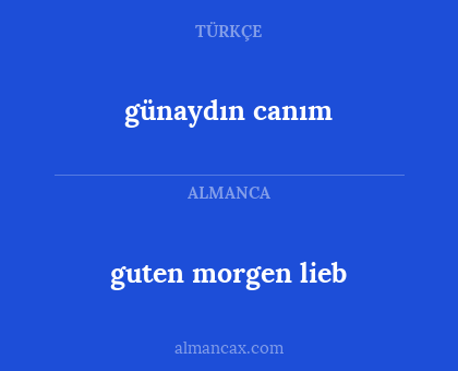 guten morgen lieb - günaydın canım