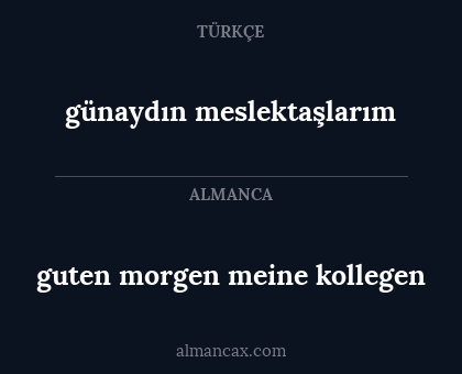 günaydın meslektaşlarım - guten morgen meine kollegen