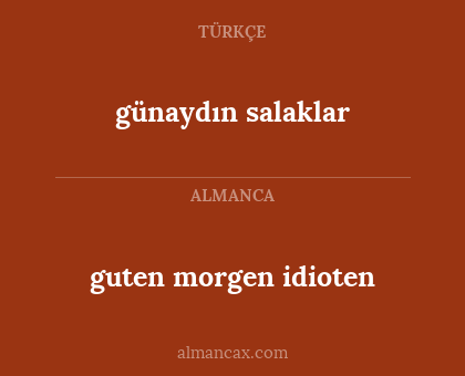 guten morgen idioten - günaydın salaklar
