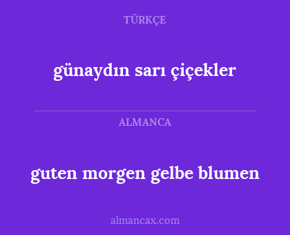 guten morgen gelbe blumen - günaydın sarı çiçekler