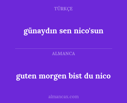 günaydın sen nico'sun - guten morgen bist du nico