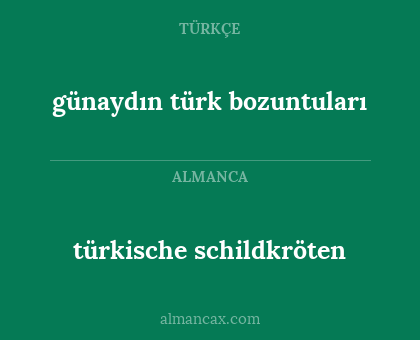 türkische schildkröten - günaydın türk bozuntuları