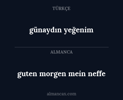 günaydın yeğenim - guten morgen mein neffe