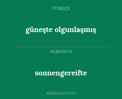 sonnengereifte - güneşte olgunlaşmış
