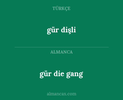 gür dişli - gür die gang