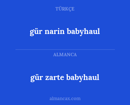 gür zarte babyhaul - gür narin babyhaul