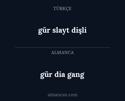 gür slayt dişli - gür dia gang
