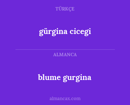 gürgina cicegi - blume gurgina