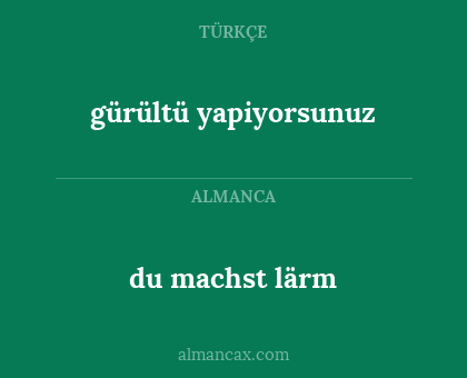 du machst lärm - gürültü yapiyorsunuz