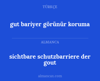 gut bariyer görünür koruma - sichtbare schutzbarriere der gout