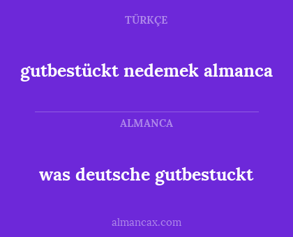 gutbestückt nedemek almanca - was deutsche gutbestuckt