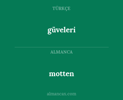 motten - güveleri