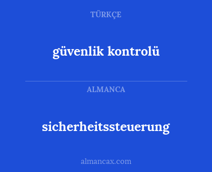 güvenlik kontrolü - sicherheitssteuerung