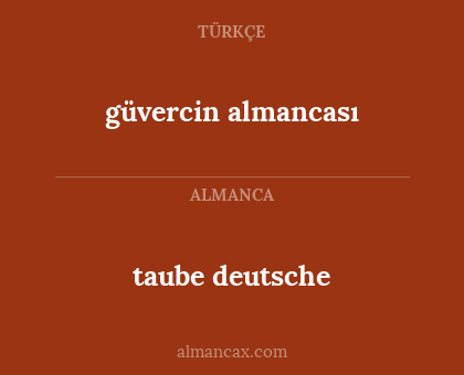 taube deutsche - güvercin almancası