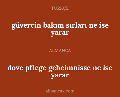dove pflege geheimnisse ne ise yarar - güvercin bakım sırları ne ise yarar