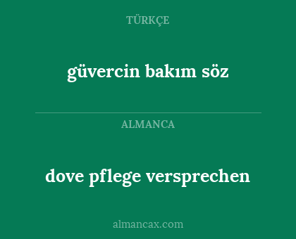 güvercin bakım söz - dove pflege versprechen