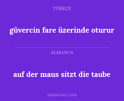 güvercin fare üzerinde oturur - auf der maus sitzt die taube