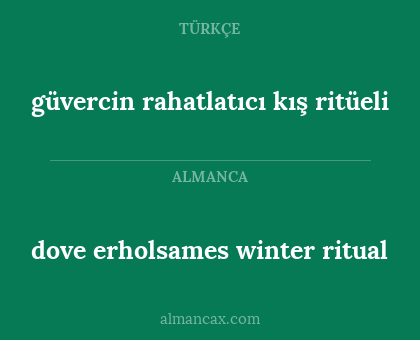 dove erholsames winter ritual - güvercin rahatlatıcı kış ritüeli
