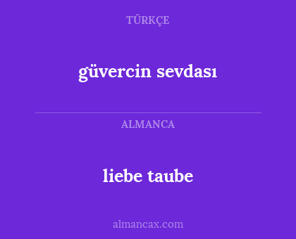 liebe taube - güvercin sevdası