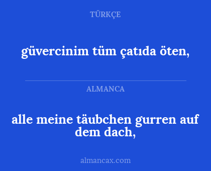 alle meine täubchen

gurren auf dem dach, - güvercinim tüm 

çatıda öten,