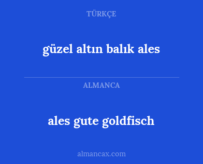 güzel altın balık ales - ales gute goldfisch