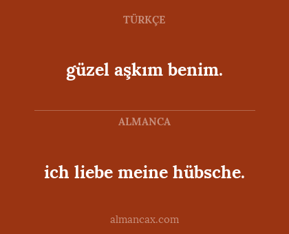 ich liebe meine hübsche. - güzel aşkım benim.