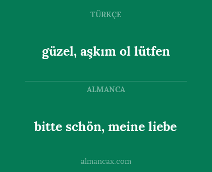 bitte schön, meine liebe - güzel, aşkım ol lütfen