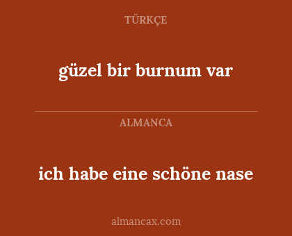 ich habe eine schöne nase - güzel bir burnum var