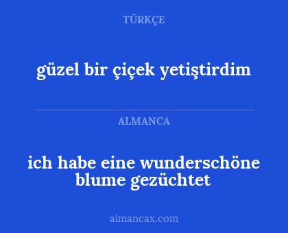 güzel bir çiçek yetiştirdim - ich habe eine wunderschöne blume gezüchtet