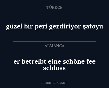 güzel bir peri gezdiriyor şatoyu - er betreibt eine schöne fee schloss