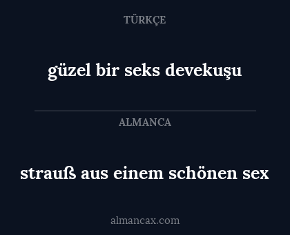 strauß aus einem schönen sex - güzel bir seks devekuşu