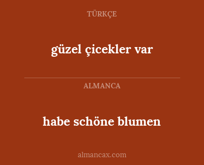 güzel çicekler var - habe schöne blumen